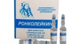 Ронколейкин: универсален имуномодулатор за котки